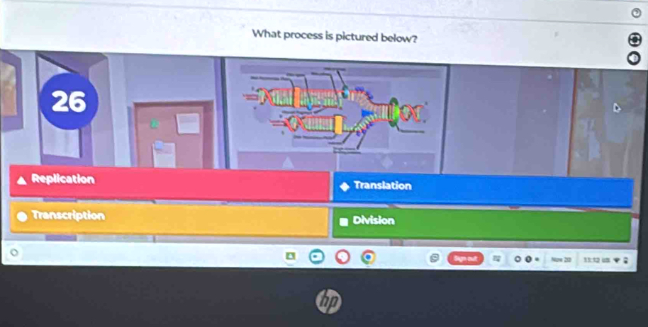 What process is pictured below?
26
Replication Translation
Transcription Division