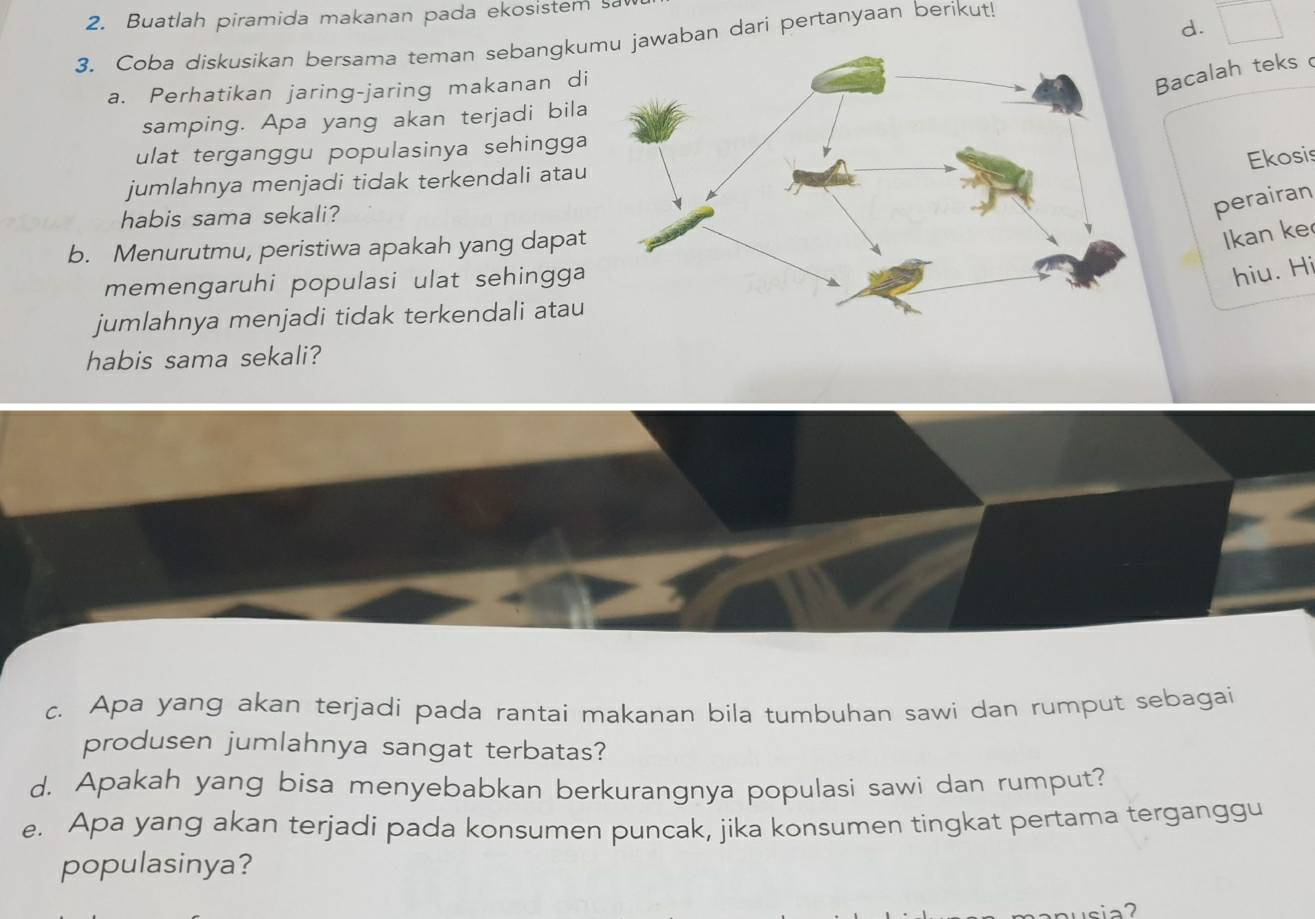 Buatlah piramida makanan pada ekosistem sa 
d. 
3. Coba diskusikan bersama teman sebangku jawaban dari pertanyaan berikut! 
a. Perhatikan jaring-jaring makanan di 
Bacalah teks 
samping. Apa yang akan terjadi bila 
ulat terganggu populasinya sehingga 
Ekosis 
jumlahnya menjadi tidak terkendali atau 
habis sama sekali? 
perairan 
b. Menurutmu, peristiwa apakah yang dapat 
Ikan ke 
memengaruhi populasi ulat sehingga 
hiu. Hi 
jumlahnya menjadi tidak terkendali atau 
habis sama sekali? 
c. Apa yang akan terjadi pada rantai makanan bila tumbuhan sawi dan rumput sebagai 
produsen jumlahnya sangat terbatas? 
d. Apakah yang bisa menyebabkan berkurangnya populasi sawi dan rumput? 
e. Apa yang akan terjadi pada konsumen puncak, jika konsumen tingkat pertama terganggu 
populasinya? 
cia2