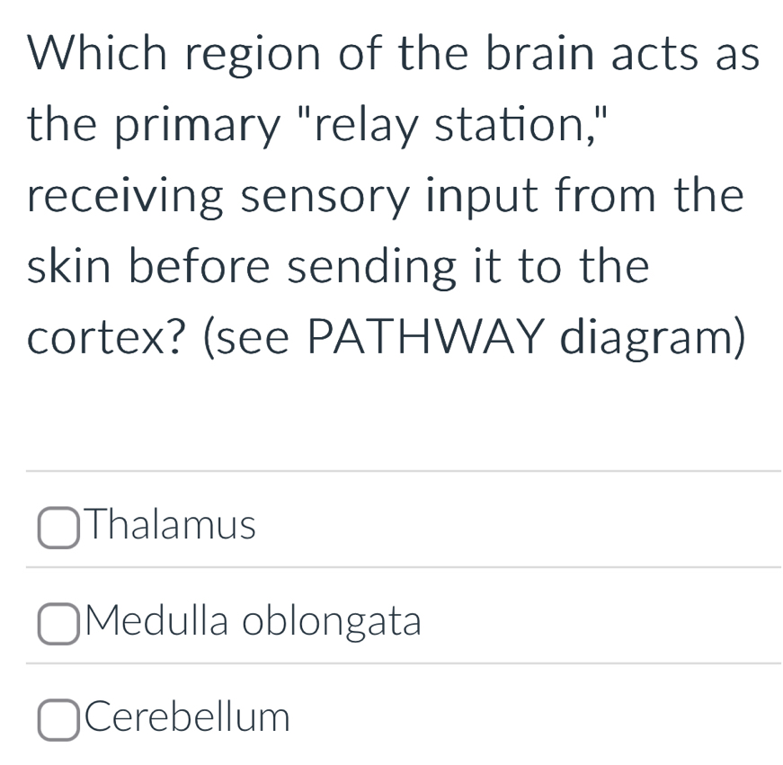 Solved: Which region of the brain acts as the primary 