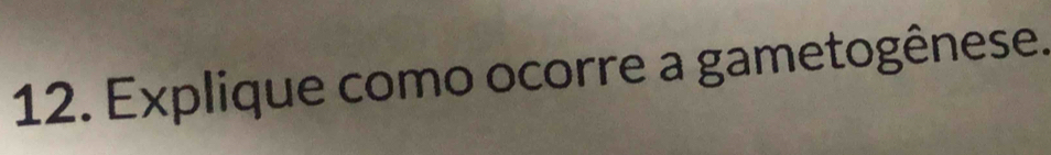 Explique como ocorre a gametogênese.