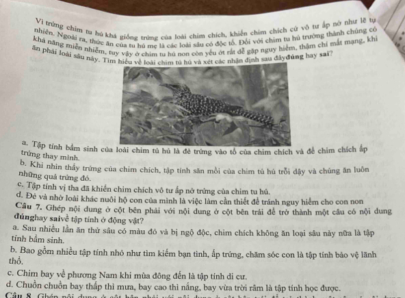 Vì trứng chím tu hú khá giống trứng của loài chim chích, khiến chim chích cử vô tư ấp nở như lẽ tự
nhiên. Ngoài ra, thức ăn của tu hú mẹ là các loài sâu có độc tổ. Đối với chim tu hủ trường thành chủng có
khả năng miễn nhiễm, tuy vậy ở chim tu hú non còn yếu ớt rát dễ gặp nguy hiệm, thậm chí mắt mạng, khi
ăn phải loài sâu này, Tim hiểu về loài chim tú hủ và xét các nhận định sau đâyđủng hay sai?
l. Tập tính bắm sinh củloài chim tú hủ là đẻ trứng vào tổ của chim chích và để chim chích ấp
trứng thay mình.
b. Khi nhìn thầy trứng của chim chích, tập tính săn mồi của chim tú hú trỗi dậy và chúng ăn luôn
những quả trứng đó
c. Tập tính vị tha đã khiến chim chích vô tư ấp nở trứng của chim tu hủ.
d. Đẻ và nhờ loài khác nuôi hộ con của mình là việc làm cần thiết để tránh nguy hiểm cho con non
Cầu 7. Ghép nội dung ở cột bên phải với nội dung ở cột bên trái đề trở thành một cầu có nội dung
đúnghay saivề tập tính ở động vật?
a. Sau nhiều lần ăn thử sâu có màu đỏ và bị ngộ độc, chim chích không ăn loại sâu này nữa là tập
tính bầm sinh.
b. Bao gồm nhiều tập tính nhỏ như tìm kiếm bạn tình, ấp trứng, chăm sóc con là tập tính bảo vệ lãnh
thổ.
c. Chim bay về phương Nam khi mùa đông đến là tập tính di cư.
d. Chuồn chuồn bay thấp thì mưa, bay cao thì nắng, bay vừa trời râm là tập tính học được.
Câu 8 Ghén nội