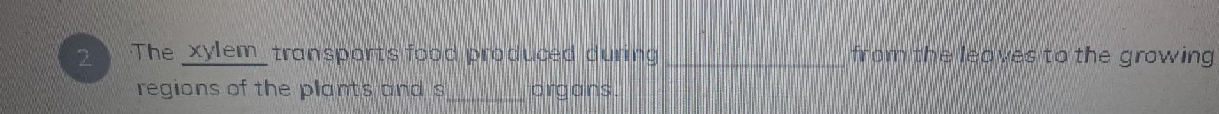 The _xylem_ transports food produced during _from the leaves to the growing 
regions of the plants and s organs.