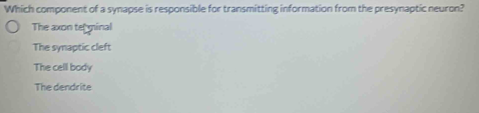 Which component of a synapse is responsible for transmitting information from the presynaptic neuron?
The axon teminal
The synaptic cleft
The celll body
The dendrite