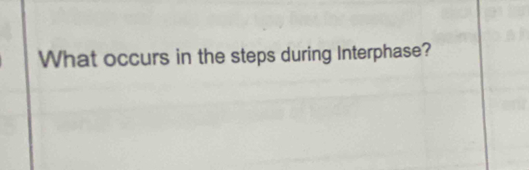 What occurs in the steps during Interphase?