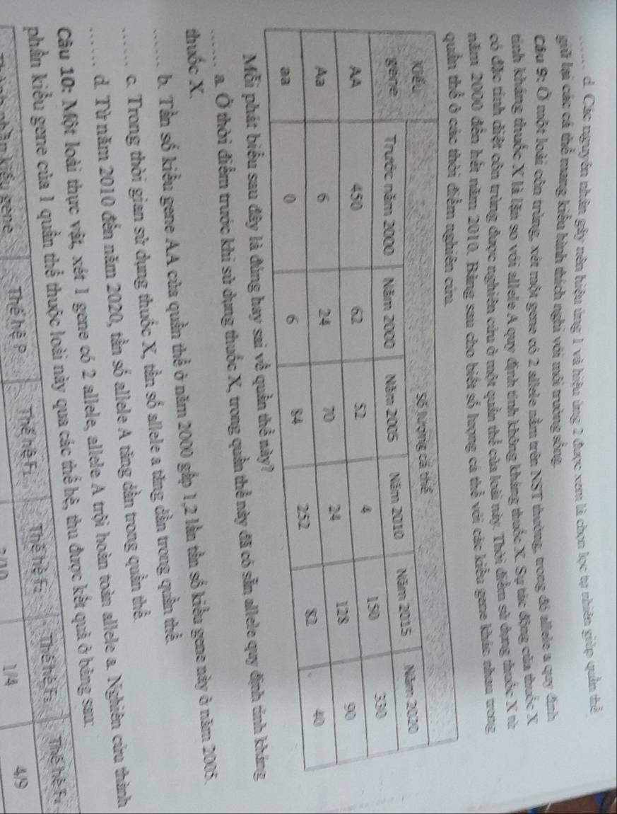 _d. Các nguyên nhân gây nên hiệu ứng 1 và hiệu ứng 2 được xem là chọn lọc tự nhiên giúp quản thể
giữ lại các cá thể mang kiểu hình thích nghi với môi trường sống,
Câu 9: Ở một loài côn trùng, xét một gene có 2 allele nằm trên NST thường, trong đó allele a quy định
tính kháng thuốc X là lặn so với allele A quy định tính không kháng thuốc X. Sự tác động của thuốc X
có đặc tính diệt côn trùng được nghiên cứu ở một quần thể của loài này. Thời điểm sử dựng thuốc X từ
năm 2000 đến hết năm 2010. Bảng sau cho biết số lượng cá thể với các kiểu gene khác nhau trong
Mỗi phát biểu sau đây là đúng hay sai 
_a. Ở thời điểm trước khi sử dụng thuốc X, trong quần thể này đã có sẵn allele quy định tinh khá
thuốc X.
_b. Tần số kiểu gene AA của quần thể ở năm 2000 gắp 1, 2 lần tần số kiểu gene này ở năm 2005.
c. Trong thời gian sử dụng thuốc X, tần số allele a tăng dần trong quần thể.
d. Từ năm 2010 đến năm 2020, tần số allele A tăng dần trong quần thể.
_ Câu 10: Một loài thực vật, xét 1 gene có 2 allele, allele A trội hoàn toàn allele a. Nghiên cứu thành
phần kiểu gene của 1 quần thể thuộc loài này qua các thể hệ, thu được kết quả ở bảng sao: Thế hệ Fư
Văn Viều gene Thế hệ P Thế hệ Fi Thế hệ Fi Thể hể Fi
1/4 4/9
