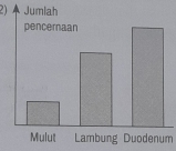 Jumlah
pencernaan
Mulut Lambung Duodenum