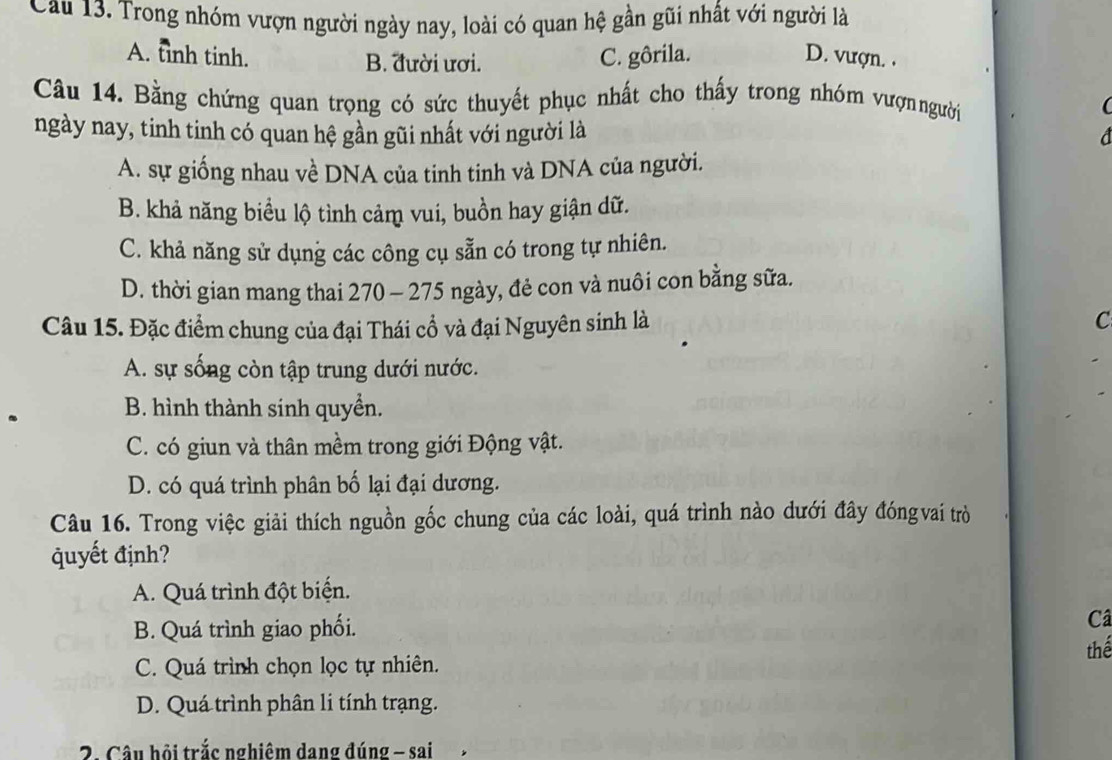 Cau 13. Trong nhóm vượn người ngày nay, loài có quan hệ gần gũi nhất với người là
A. tinh tinh. C. gôrila. D. vượn. .
B. đười ươi.
Câu 14. Bằng chứng quan trọng có sức thuyết phục nhất cho thấy trong nhóm vượnngười

ngày nay, tinh tinh có quan hệ gần gũi nhất với người là
A. sự giống nhau về DNA của tinh tinh và DNA của người.
B. khả năng biểu lộ tình cảm vui, buồn hay giận dữ.
C. khả năng sử dụng các công cụ sẵn có trong tự nhiên.
D. thời gian mang thai 270 - 275 ngày, đẻ con và nuôi con bằng sữa.
Câu 15. Đặc điểm chung của đại Thái cổ và đại Nguyên sinh là C
A. sự sống còn tập trung dưới nước.
B. hình thành sinh quyền.
C. có giun và thân mềm trong giới Động vật.
D. có quá trình phân bố lại đại dương.
Câu 16. Trong việc giải thích nguồn gốc chung của các loài, quá trình nào dưới đây đóngvai trò
quyết định?
A. Quá trình đột biện.
B. Quá trình giao phối.
Câ
C. Quá trình chọn lọc tự nhiên. thể
D. Quá trình phân li tính trạng.
2. Câu hội trắc nghiêm dang đúng - sai