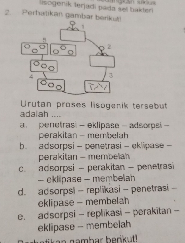 sdangkán siklus
lisogenik terjadi pada sel bakteri
2. Perhatikan gambar beri
Urutan proses lisogenik tersebut
adalah ....
a. penetrasi - eklipase - adsorpsi -
perakitan - membelah
b. adsorpsi - penetrasi - eklipase -
perakitan - membelah
c. adsorpsi - perakitan - penetrasi
- eklipase - membelah
d. adsorpsi - replikasi - penetrasi -
eklipase - membelah
e. adsorpsi - replikasi - perakitan -
eklipase - membelah
atik a n gambar berikut!