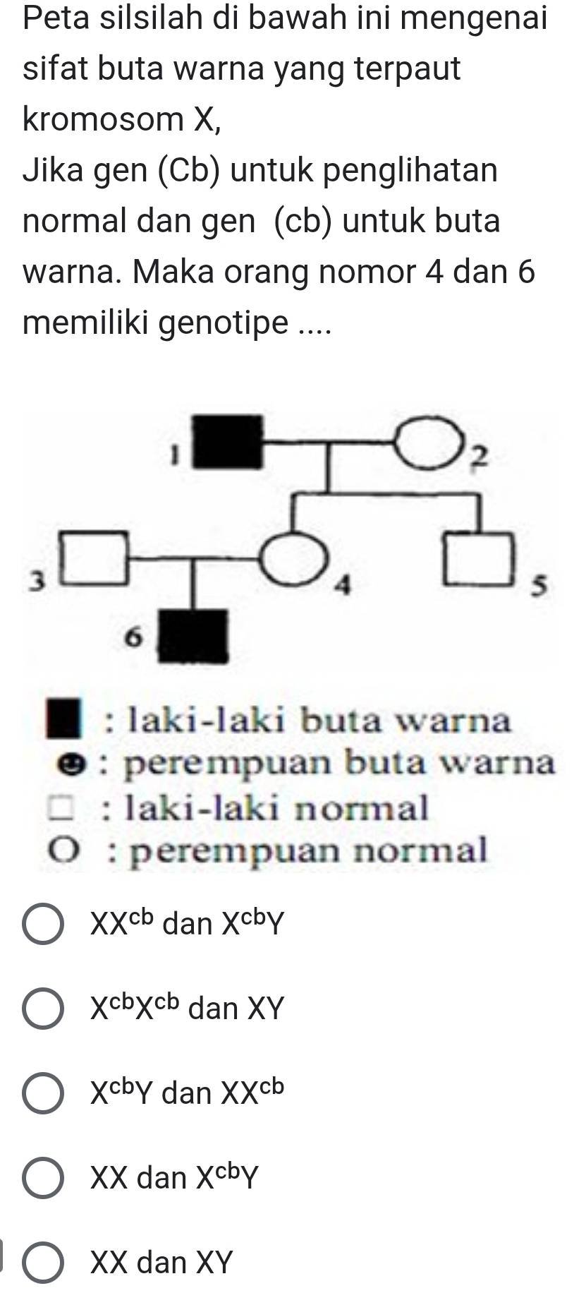 Peta silsilah di bawah ini mengenai
sifat buta warna yang terpaut
kromosom X,
Jika gen (Cb) untuk penglihatan
normal dan gen (cb) untuk buta
warna. Maka orang nomor 4 dan 6
memiliki genotipe ....
: laki-laki buta warna
: perempuan buta warna
: laki-laki normal
: perempuan normal
XX^(cb) dan X^(cb)Y
X^(cb)X^(cb) dan XY
X^(cb)Y dan XX^(cb)
XX dan X^(cb)Y
XX dan XY