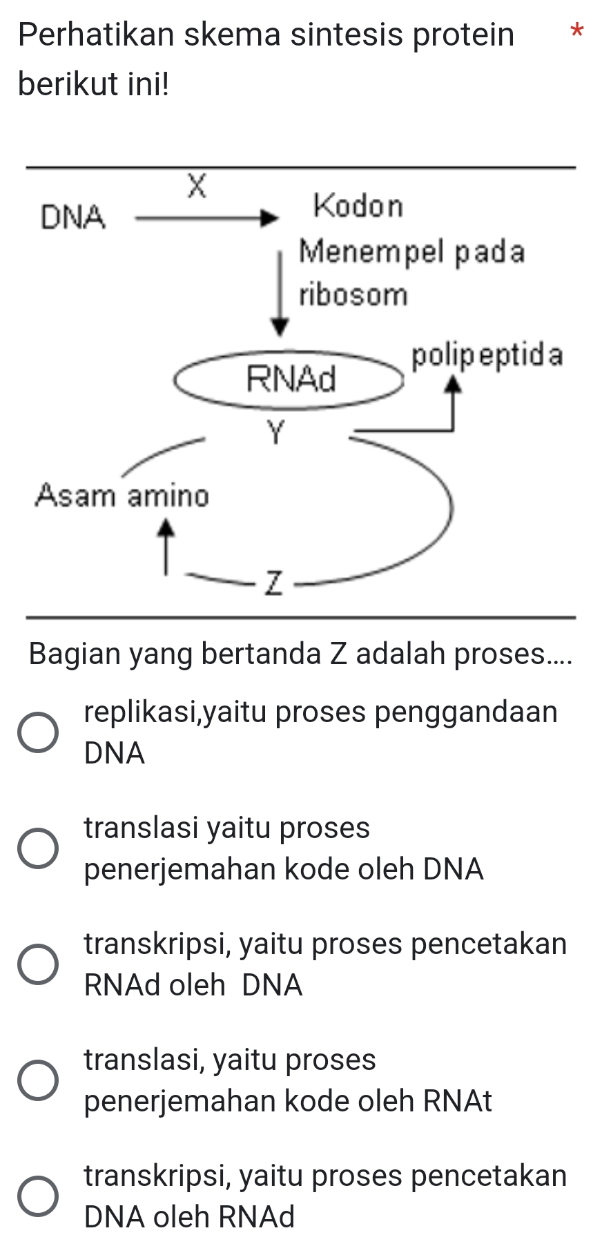 Perhatikan skema sintesis protein *
berikut ini!
Bagian yang bertanda Z adalah proses....
replikasi,yaitu proses penggandaan
DNA
translasi yaitu proses
penerjemahan kode oleh DNA
transkripsi, yaitu proses pencetakan
RNAd oleh DNA
translasi, yaitu proses
penerjemahan kode oleh RNAt
transkripsi, yaitu proses pencetakan
DNA oleh RNAd