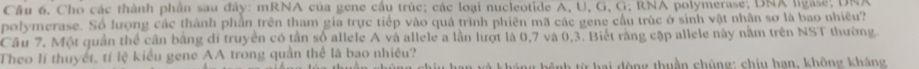 Cho các thành phần sau đây: mRNA của gene cầu trúc; các loại nucleotide A, U, G, G; RNA polymerase; DNA ligase; DNA 
polymerase. Số lượng các thành phần trên tham gia trực tiếp vào quá trình phiên mã các gene cầu trúc ở sinh vật nhân sơ là bao nhiều? 
Câu 7. Một quần thể cần bằng di truyền có tần số allele A và allele a lần lượt là 0, 7 và 0, 3. Biết rằng cập allele này nằm trên NST thường 
Theo lí thuyết, tí lệ kiểu gene AA trong quần thể là bao nhiệu? 
á ng bệnh từ hai động thuần chúng: chiu hạn, không kháng