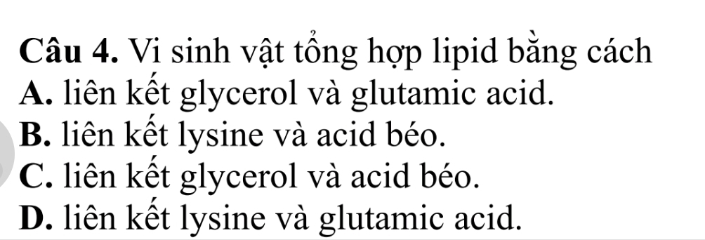 Vi sinh vật tổng hợp lipid bằng cách
A. liên kết glycerol và glutamic acid.
B. liên kết lysine và acid béo.
C. liên kết glycerol và acid béo.
D. liên kết lysine và glutamic acid.