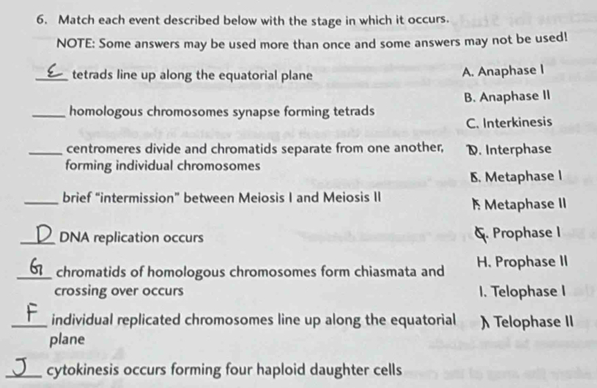 Match each event described below with the stage in which it occurs.
NOTE: Some answers may be used more than once and some answers may not be used!
_tetrads line up along the equatorial plane A. Anaphase I
B. Anaphase II
_homologous chromosomes synapse forming tetrads
C. Interkinesis
_centromeres divide and chromatids separate from one another, D. Interphase
forming individual chromosomes
6. Metaphase I
_brief “intermission” between Meiosis I and Meiosis II
F Metaphase II
_DNA replication occurs &. Prophase I
_chromatids of homologous chromosomes form chiasmata and H. Prophase II
crossing over occurs 1. Telophase I
_individual replicated chromosomes line up along the equatorial λ Telophase II
plane
_cytokinesis occurs forming four haploid daughter cells