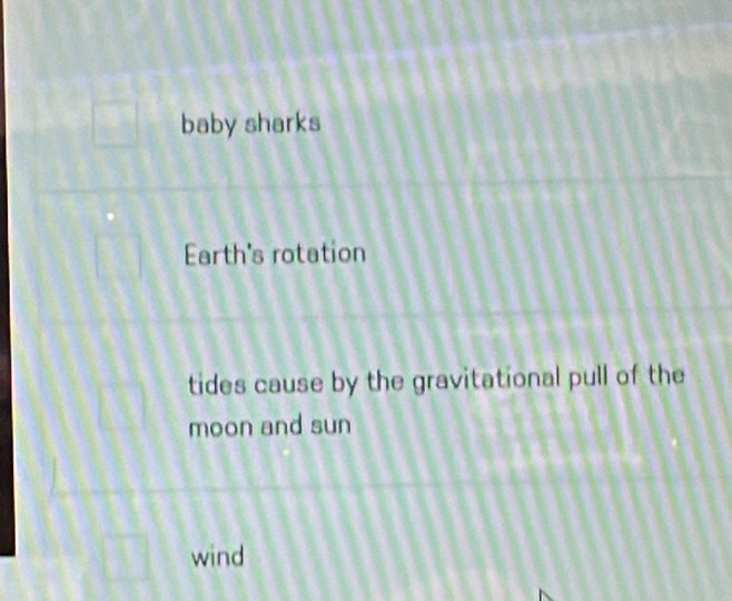 baby sharks 
Earth's rotation 
tides cause by the gravitational pull of the 
moon and sun 
wind