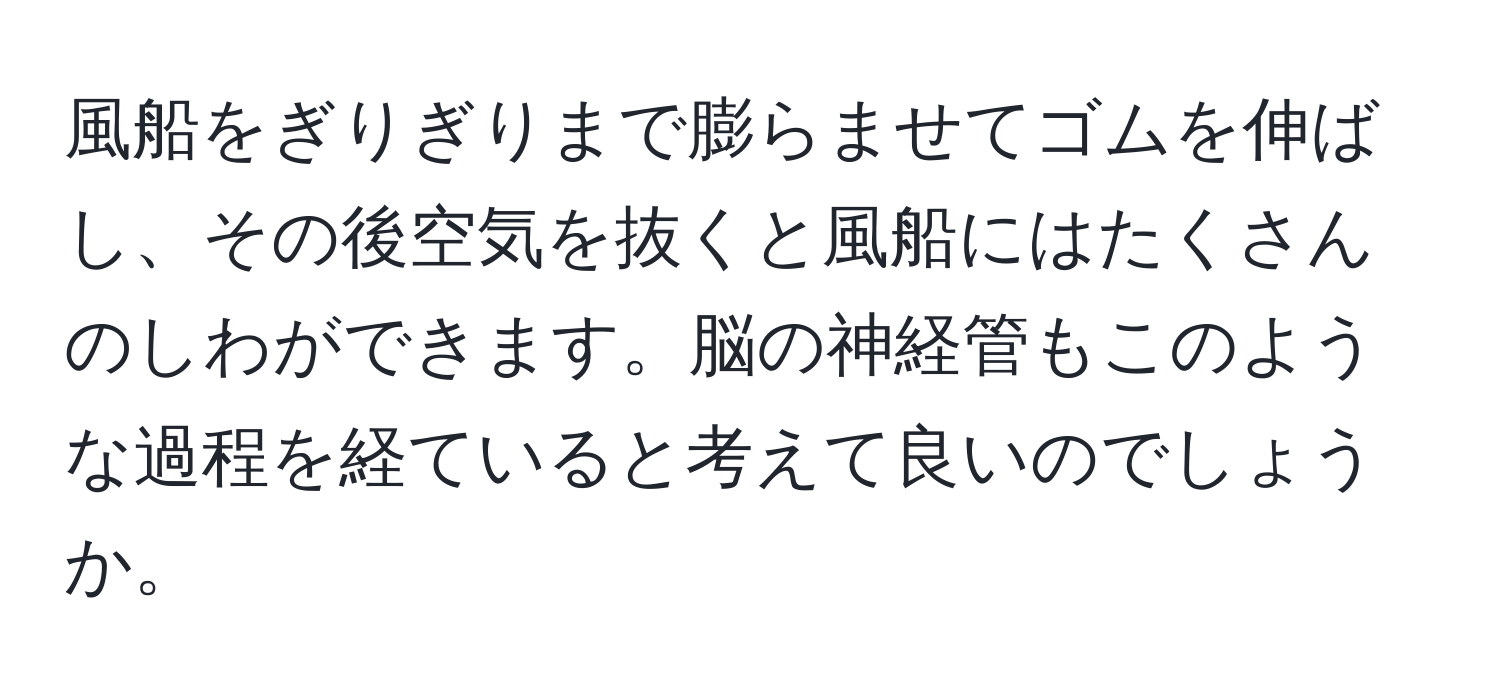 風船をぎりぎりまで膨らませてゴムを伸ばし、その後空気を抜くと風船にはたくさんのしわができます。脳の神経管もこのような過程を経ていると考えて良いのでしょうか。