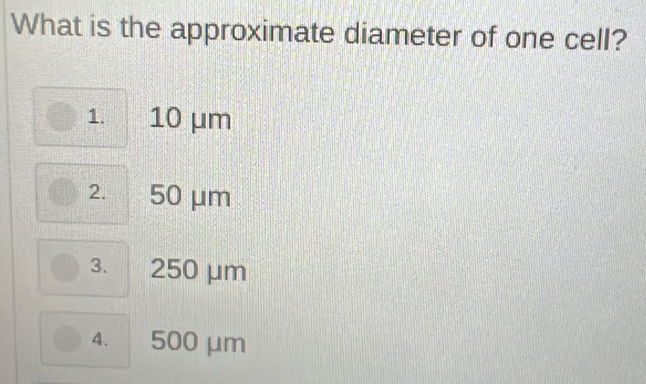 What is the approximate diameter of one cell?
1. 10 μm
2. 50 μm
3. 250 μm
4. 500 µm