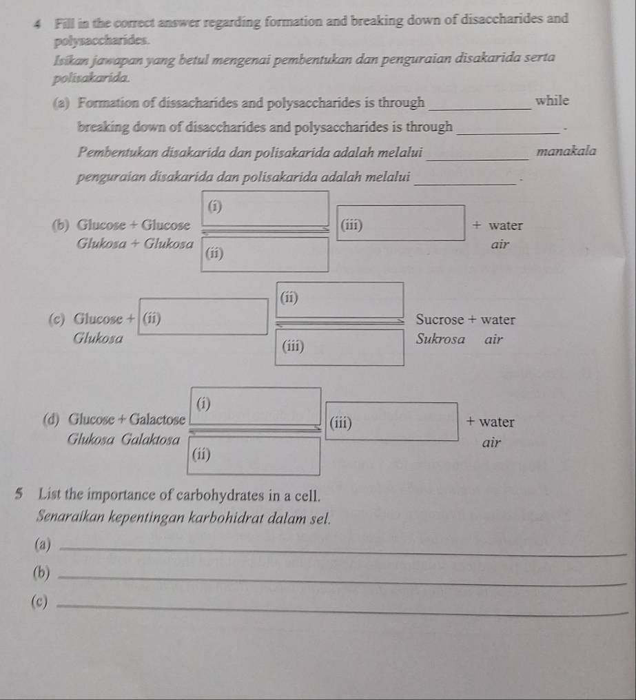 Fill in the correct answer regarding formation and breaking down of disaccharides and
polysaccharides.
Isikan jawapan yang betul mengenai pembentukan dan penguraian disakarida serta
polisakarida.
(a) Formation of dissacharides and polysaccharides is through _while
breaking down of disaccharides and polysaccharides is through _.
Pembentukan disakarida dan polisakarida adalah melalui _manakala
penguraian disakarida dan polisakarida adalah melalui_
、
(i)
(b) Glucose + Glucose (iii) + water
Glukosa + Glukosa (ii)
air
(ii)
(c) Glucose + (ii) Sucrose + water
Glukosa Sukrosa air
(iii)
(i)
(d) Glucose + Galactose (iii) + water
Glukosa Galaktosa air
(ii)
5 List the importance of carbohydrates in a cell.
Senaraikan kepentingan karbohidrat dalam sel.
(a)_
(b)_
(c)_