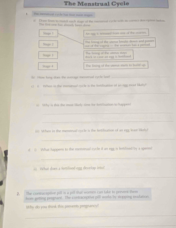 The Menstrual Cycle 
1. The menstrual cycle has four main stages 
a) Draw lines to match each stage of the menstrual cycle with its correct description below. 
The first one has already been done 
Stage 1 An egg is released from one of the ovaries. 
The lining of the uterus breaks down and passes 
Stage 2 out of the vagina — the woman has a period. 
The lining of the uterus stays 
Stage 3 thick in case an egg is fertilised. 
Stage 4 The lining of the uterus starts to build up. 
b) How long does the average menstrual cycle last?_ 
c) i) When in the menstrual cycle is the fertilisation of an egg most likely? 
_ 
ii) Why is this the most likely time for fertilisation to happen? 
_ 
_ 
iii) When in the menstrual cycle is the fertilisation of an egg least likely? 
_ 
d i) What happens to the menstrual cycle if an egg is fertilised by a sperm? 
_ 
ii). What does a fertilised egg develop into? 
_ 
2. The contraceptive pill is a pill that women can take to prevent them 
from getting pregnant. The contraceptive pill works by stopping ovulation. 
Why do you think this prevents pregnancy? 
_ 
_