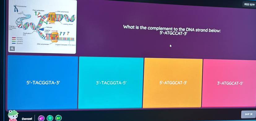 9522 5279

What is the complement to the DNA strand below:
5'-ATGCCAT -3
=o cea===
5'- TACGGTA -3 ' 3'-TACGGTA -5' 5' -ATGGCAT -3' 3'· -ATGGCAT -5'
SKIP M
Denzel