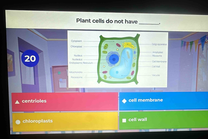 Plant cells do not have _.
Cytoplasm
Golgi apparatus
Chioroplast
Amyloplast
20
Nucleus Ribosome
Nucleolus
Endoplasmic Reticulum Ceil Membrane
Cell Wall
Mitochondria
Peroxsome Vacuole
a
centrioles cell membrane
chloroplasts cell wall