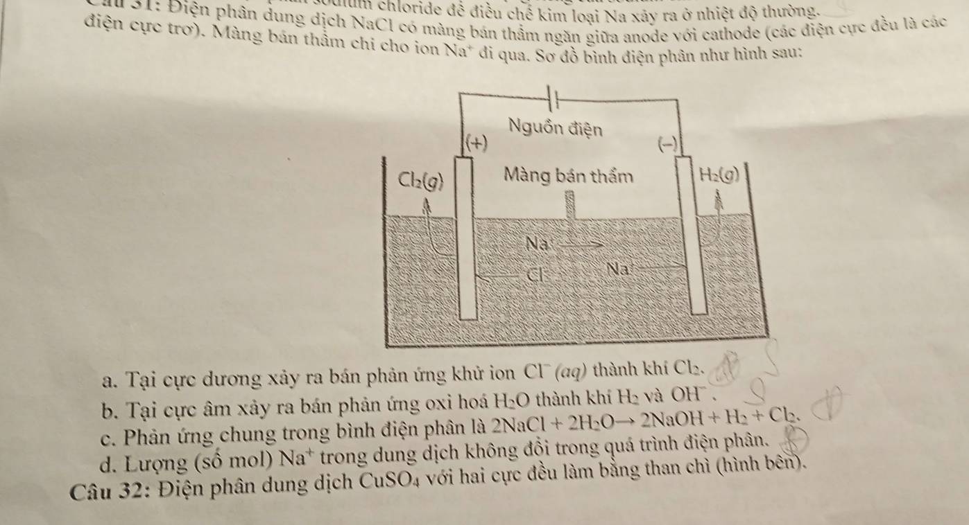 eyutum chloride để điều chế kim loại Na xây ra ở nhiệt độ thường.
* 31: Điện phân dung dịch NaCl có màng bán thầm ngăn giữa anode với cathode (các điện cực đều là các
điện cực trơ). Màng bán thầm chi cho ion Na* đi qua. Sơ đồ bình điện phân như hình sau:
a. Tại cực dương xảy ra bán phản ứng khử ion Cl (aq) thành khí Cl_2.
b. Tại cực âm xảy ra bán phản ứng oxi hoá H_2O thành khí H₂ và OH  ,
c. Phản ứng chung trong bình điện phân là 2NaCl+2H_2Oto 2NaOH+H_2+Cl_2.
d.  ượn . (shat 0m ol) Na^+ trong dung dịch không đổi trong quá trình điện phân.
Câu 32: Điện phân dung dịch CuSO_4 với hai cực đều làm bằng than chì (hình bên).