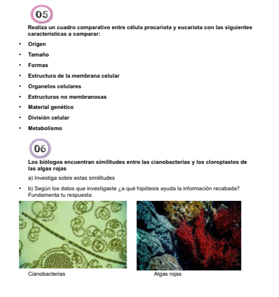 Realiza un cuadro comparativo entre célula procariota y eucariota con las siguientes 
caracteristicas a comparar: 
Origen 
Tamaño 
Formas 
Estructura de la membrana celular 
Organelos celulares 
Estructuras no membranosas 
Material genético 
División celular 
Metabolismo 
06 
Los biólogos encuentran similitudes entre las cianobacterias y los cloroplastos de 
las algas rojas 
a) Investiga sobre estas similitudes 
b) Según los datos que investigaste ¿a qué hipótesis ayuda la información recabada? 
Fundamenta tu respuesta 
Cianobacterias Algas rojas