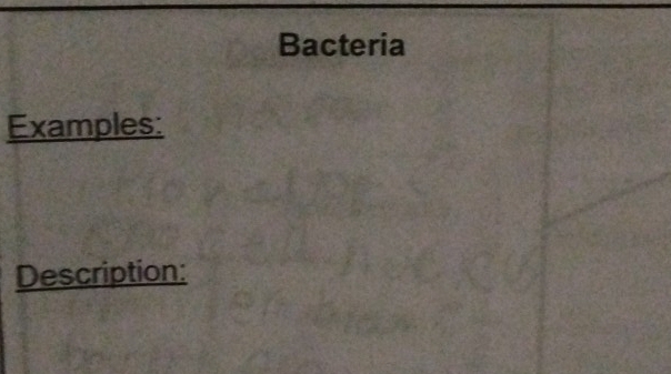 Bacteria 
Examples: 
Description: