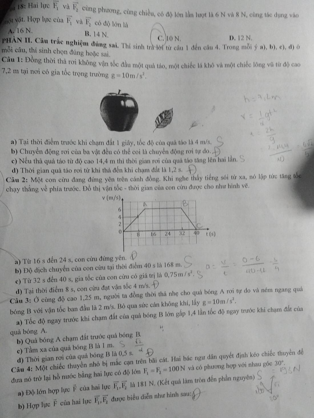 18: Hai lực vector F_1 và vector F_2 cùng phương, cùng chiều, có độ lớn lần lượt là 6 N và 8 N, cùng tác dụng vào
vmột vật. Hợp lực của vector F_1 và overline F_2 có độ lớn là
A. 16 N. B. 14 N.
C. )10 N. D. 12 N.
PHẢN II. Câu trắc nghiệm đúng sai. Thí sinh trà lời từ câu 1 đến câu 4. Trong mỗi ý a), b), c), d) ở
mỗi câu, thí sinh chọn đúng hoặc sai.
*  Câu 1: Đồng thời thả rơi không vận tốc đầu một quả táo, một chiếc lá khô và một chiếc lông vũ từ độ cao
7,2 m tại nơi có gia tốc trọng trường g=10m/s^2.
a) Tại thời điểm trước khi chạm đất 1 giây, tốc độ của quả táo là 4 m/s.
b) Chuyển động rơi của ba vật đều có thể coi là chuyển động rơi tự do.
c) Nếu thả quả táo từ độ cao 14,4 m thì thời gian rơi của quả táo tăng lên hai lần.
d) Thời gian quả táo rơi từ khi thả đến khi chạm đất là 1,2 s.
Câu 2: Một con cừu đang đứng yên trên cánh đồng. Khi nghe thấy tiếng sói từ xa, nó lập tức tăng tốc
chạy thẳng về phía trước. Đồ thị vận tốc - thời gian của con cừu được cho như hình vẽ.
a) Từ 16 s đến 24 s, con cừu đứng yên.
b) Độ dịch chuyển của con cừu tại thời điểm 40 s là 168 m.
c) Từ 32 s đến 40 s, gia tốc của con cừu có giá trị là 0,75m/s^2
d) Tại thời điểm 8 s, con cừu đạt vận tốc 4 m/s.
Câu 3: Ở cùng độ cao 1,25 m, người ta đồng thời thả nhẹ cho quả bóng A rơi tự do và ném ngang quả
bóng B với vận tốc ban đầu là 2 m/s. Bỏ qua sức cản không khí, lấy g=10m/s^2.
a) Tốc độ ngay trước khi chạm đất của quả bóng B lớn gấp 1,4 lần tốc độ ngay trước khi chạm đất của
quả bóng A.
b) Quả bóng A chạm đất trước quả bóng B.
c) Tầm xa của quả bóng B là 1 m.
d) Thời gian rơi của quả bóng B là 0,5 s.
Câu 4: Một chiếc thuyền nhỏ bị mắc cạn trên bãi cát. Hai bác ngư dân quyết định kéo chiếc thuyền đề
dưa nó trở lại hồ nước bằng hai lực có độ lớn F_1=F_2=100N và có phương hợp với nhau góc 30°
a) Độ lớn hợp lực F của hai lực vector F_1,vector F_2 là 181 N. (Kết quả làm tròn đến phần nguyên)
b) Hợp lực F của hai lực vector F_1,vector F_2 được biểu diễn như hình sau: