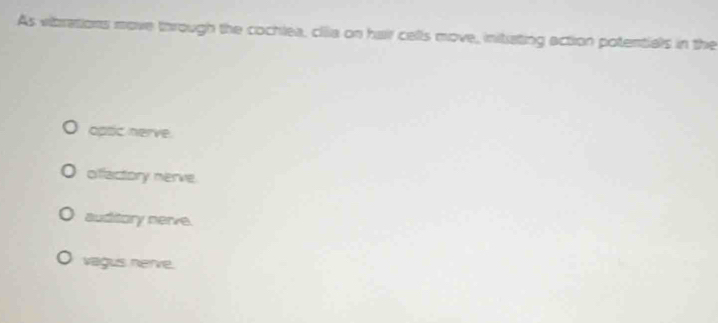 As vibrations move through the cochlea, cilia on hair cells move, initating action potentials in the
optic herve.
diffactory nerve
auditory nerve.
vagus nerve.