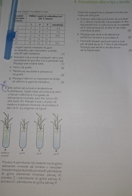 Fotosinteza dhe rritja e bimës
bela tregon rezuiltatet e tyreVizatimet tregojnē se si dukeshin bimët pas
rritjes për disa javë.
a Krahaso ndérmjet tyre bimêt né provézat
B, C ohe D me bimën në provězén A dhe
èj pärshkrimin e ndikimeve të mungeses
së tri elementeve (N, K dhe P) né rritjen
e bimève të elbit.
b Shpjego pse ishte e réndésishme [5]
pérfshirja né hetim e provëzës A. [2]
c. Fermerët shpesh testojnë tokat e tyre
për të parë se sa N, P dhe K përmbajnë.
Llogarit sasinê mesatare të gazit që ta bējnē këté. Shpjego pse ēshtë e rêndësishme
të mbiedhur pèr intensitetin e dritës [3]
prej 20 njës. rastësore. [1]
d Nxënësit nuk e morën parasysh njërin prej
rezultateve të tyre dhe nuk e perdorën até.
Shpjego pse e běnë kêtë.
Harto një grafik [6] (1)
fù  Përshkruaj rezultatet e paraqitura
në grafik.
[3]
g Shpjego ndikimin e intensitetit të dritês
é véllimin e gazit té mbledhur [3]
5 Elbi është një kulturë e rëndēsishme
e drithérave. Gjatë rritjes së bimêve të elbit
h e tuan n dikimet e  munges e  s e
elementeve minerale: azot n ), kalium (K)
dhe fosfor (P), Rrënjët e tyre u zhyten në
tretësira kripërash minerale në provëzat A
deri në D, siç tregohet në figurë.
e plotë tretêsira
Provëza A përmbante një tretësirë me të gjitha
elementet minerale që bimëve u nevojiten
(me përmbajtje të plotë); provēza B i përmbante
tê gjitha elementet minerale, përveç N;
provëza C i përmbante të gjitha pērveç K;
provëza D i përmbante të gjitha përveç P.