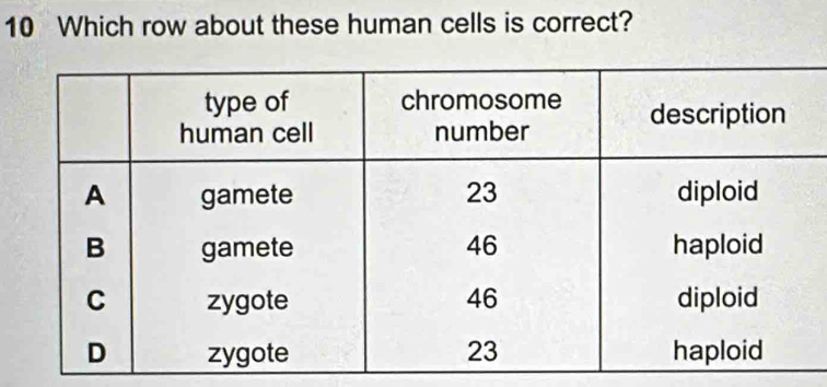 Which row about these human cells is correct?