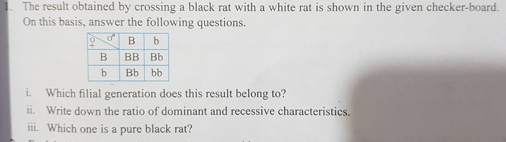 Solved: The result obtained by crossing a black rat with a white rat is ...