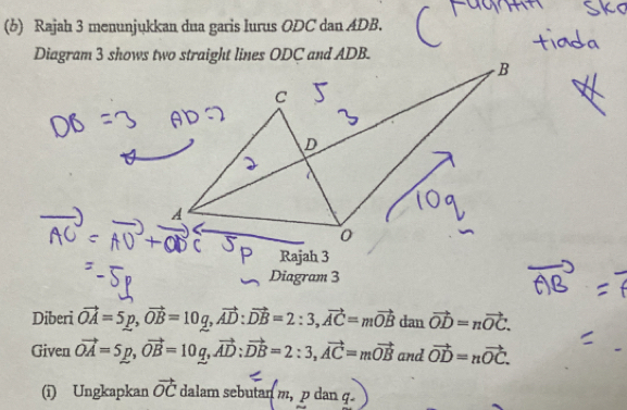 Rajah 3 menunjukkan dua garis Iurus ODC dan ADB. 
Diagram 3 shows two straight lines ODC and ADB.
B
C
A
Rajah 3 
Diagram 3 
Diberi vector OA=5p, vector OB=10q, vector AD : vector DB=2:3, vector AC=mvector OB dan vector OD=nvector OC. 
Given vector OA=5p, vector OB=10q, vector AD : vector DB=2:3, vector AC=mvector OB and vector OD=nvector OC. 
(i) Ungkapkan vector OC dalam sebutan m, pdanq.