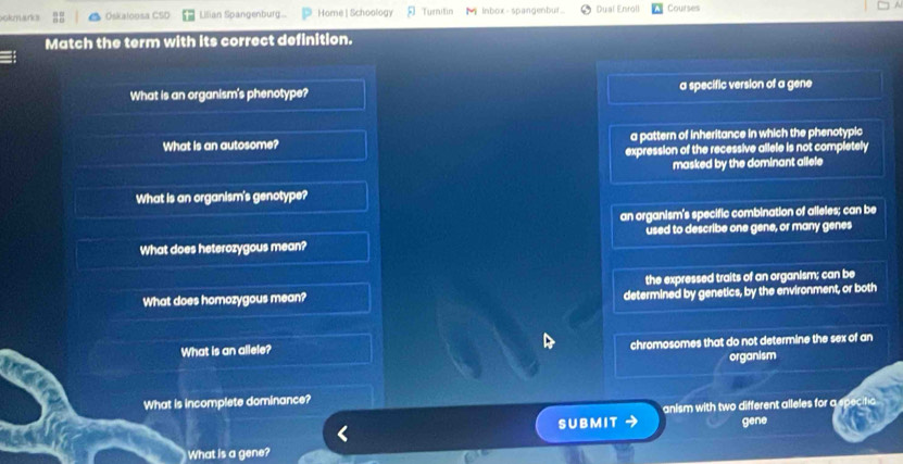 ookmarks Oskaloosa CSD Lilian Spangenburg... Home | Schoology Turnitin M Inbox-spangenbuf.. Dual Enroll Courses
Match the term with its correct definition.
What is an organism's phenotype? a specific version of a gene
What is an autosome? a pattern of inheritance in which the phenotypic
expression of the recessive allele is not completely
masked by the dominant allele
What is an organism's genotype?
an organism's specific combination of alleles; can be
What does heterozygous mean? used to describe one gene, or many genes
the expressed traits of an organism; can be
What does homozygous mean? determined by genetics, by the environment, or both
What is an allele? chromosomes that do not determine the sex of an
organism
What is incomplete dominance?
anism with two different alleles for a
SUBMIT gene
What is a gene?