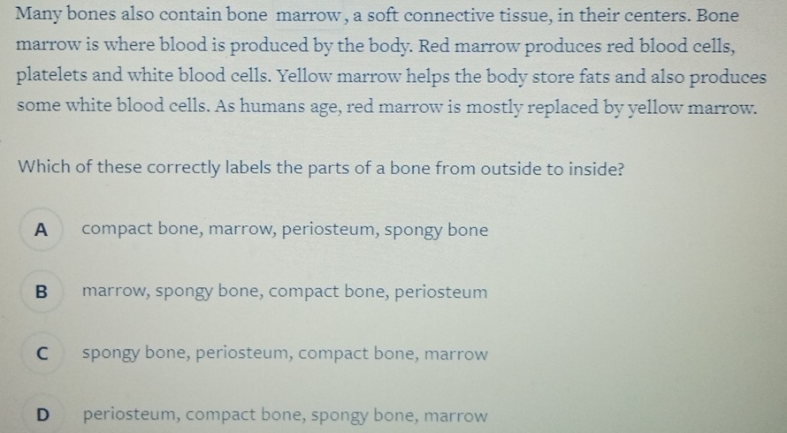 Many bones also contain bone marrow , a soft connective tissue, in their centers. Bone
marrow is where blood is produced by the body. Red marrow produces red blood cells,
platelets and white blood cells. Yellow marrow helps the body store fats and also produces
some white blood cells. As humans age, red marrow is mostly replaced by yellow marrow.
Which of these correctly labels the parts of a bone from outside to inside?
A compact bone, marrow, periosteum, spongy bone
B marrow, spongy bone, compact bone, periosteum
C spongy bone, periosteum, compact bone, marrow
D periosteum, compact bone, spongy bone, marrow