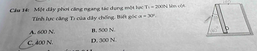 Một dây phơi căng ngang tác dụng một lực T_1=200N lên cột.
Tính lực căng T2 của dây chống. Biết góc alpha =30°.
A. 600 N. B. 500 N.
C. 400 N. D. 300 N.