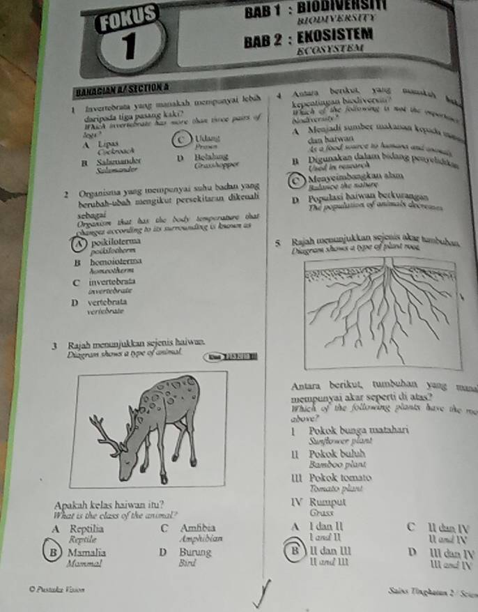 FOKUS
BAB 1 : BIODIVERSIt
BIODIVERSITY
1
BAB 2 : EKOSISTEM
ECOSYSTEM
Banacian α/ Section a
1 fnvertebrata yang manakah memponyai lebih 4 Anara berskut, yang manksh bak
daripada tiga pasang kaki? kepentingan biodiversin?
Which of the following is not the ipertne 
Which invertebrate has mone thaw tsnce pairs of Nodverasty"
leg
A  Menjadi sumbeç makanan kepoda mm
A Lipas Udan
Cockroach Prown dan haïwan
As a food suurce to hana and comsis
B Sälsmander D Belahung Grasshoppor Digunakan dalam bidang peurelidikan
Cafres cndor
ied in reseanca
2 Organisma yang mempenyai suhu badan yang C ) Mẹnyeimbøngkan alam
Balance the nature
berubah-ubah mengikut persekitaran dikeuah D Populasi haïwan betkurangan
sebogai Th population of animals decremes
Organism that has the body temperature that
changez according to its surrounding is known as
A ) poikiloterma  5  Rajah menunjukkan sejenís akar tambuban
potkilotherm
B homoioterma ram shows a type of plant roo
homeotherm
C invertebrata
invertedrate
D vertebrata
vertebrate
3 Rajah menunjukkan sejenis haiwan.
Diagram shows a type of animal
Antara berikut, tumbuhan yang mana
mempunyai akar seperti di atas?
Which of the following plants have the me
above?
| Pokok bunga matahari
Sunflower plant
II Pokok buluh
Bamboo plant
IIl Pokok tomato
Tomato plant
Apakah kelas haiwan itu? IV Rumput
What is the class of the animal? Grass
A Reptilia C Amfibia A I dan Il C Il dan IV U and IV
Reptile Amphibian l and I
B) Mamalia D Burung Bll dan Ill D Ill dan IV
Mammal Bird I and III II asd N
O Pastla Visn
Sains Tinghatan 2 / Scien