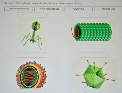 Solved: Label each of the following images to describe four different ...