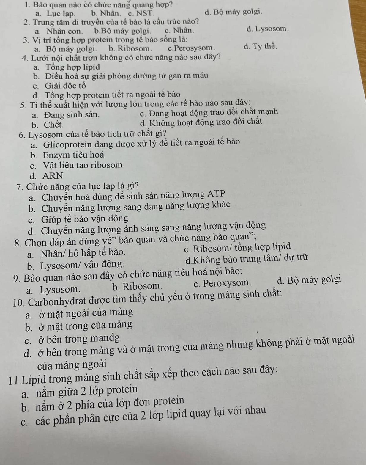 Bào quan nào có chức năng quang hợp?
a. Lục lạp. b. Nhân. c. NST. d. Bộ máy golgi.
2. Trung tâm di truyền của tế bào là cấu trúc nào?
a. Nhân con. b.Bộ máy golgi. c. Nhân. d. Lysosom.
3. Vị trí tổng hợp protein trong tế bào sống là:
a. Bộ máy golgi. b. Ribosom. c.Perosysom. d. Ty thể.
4. Lưới nội chất trơn không có chức năng nào sau đây?
a. Tổng hợp lipid
b. Điều hoà sự giải phóng đường từ gan ra máu
c. Giải độc tố
d. Tổng hợp protein tiết ra ngoài tế bào
5. Ti thể xuất hiện với lượng lớn trong các tế bào nào sau đây:
a. Đang sinh sản. c. Đang hoạt động trao đổi chất mạnh
b. Chết. d. Không hoạt động trao đổi chất
6. Lysosom của tế bào tích trữ chất gì?
a. Glicoprotein đang được xử lý đề tiết ra ngoài tế bào
b. Enzym tiêu hoá
c. Vật liệu tạo ribosom
d. ARN
7. Chức năng của lục lạp là gì?
a. Chuyền hoá dùng để sinh sản năng lượng ATP
b. Chuyền năng lượng sang dạng năng lượng khác
c. Giúp tế bào vận động
d. Chuyền năng lượng ánh sáng sang năng lượng vận động
8. Chọn đáp án đúng về'' bào quan và chức năng bào quan'';
a. Nhân/ hô hấp tế bào. c. Ribosom/ tổng hợp lipid
b. Lysosom/ vận động. d.Không bào trung tâm/ dự trữ
9. Bào quan nào sau đây có chức năng tiêu hoá nội bào:
a. Lysosom. b. Ribosom. c. Peroxysom. d. Bộ máy golgi
10. Carbonhydrat được tìm thấy chủ yếu ở trong màng sinh chất:
a. ở mặt ngoài của màng
b. ở mặt trong của màng
c. ở bên trong mandg
d. ở bên trong màng và ở mặt trong của màng nhưng không phải ở mặt ngoài
của màng ngoài
11.Lipid trong màng sinh chất sắp xếp theo cách nào sau đây:
a. nằm giữa 2 lớp protein
b. nằm ở 2 phía của lớp đơn protein
c. các phần phân cực của 2 lớp lipid quay lại với nhau