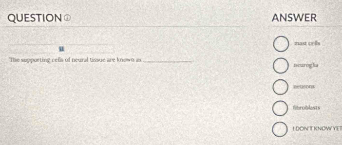 QUESTION ANSWER
mast cells
u
The supporting cells of neural tissue are known as_
neuroglia
neurons
fibroblasts
I DON T KNOW YE T