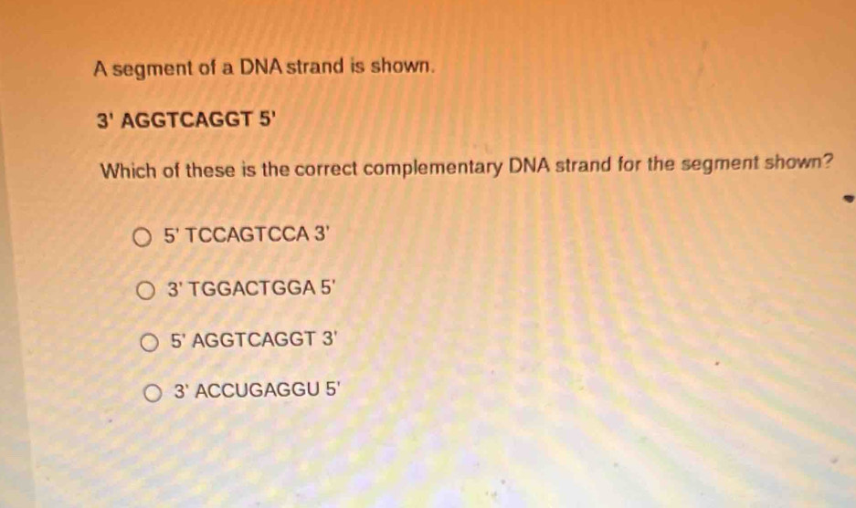 A segment of a DNA strand is shown.
3' AGGTCAGGT 5'
Which of these is the correct complementary DNA strand for the segment shown?
5' TCCAGTCCA 3'
3' TGGACTGGA 5'
5' AGGTCAGGT 3'
3' ACCUGAGGU 5'