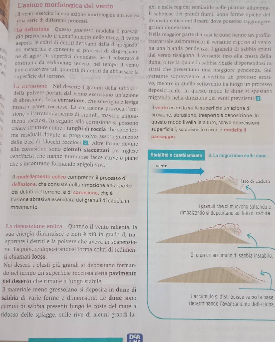 L'azione morfologica del vento ghi e nelle regioni semiaride nelle pianure alluviona-
Il vento esercita la sua azione morfologica attraverso li sabbiose dei grandi fiumi. Sono forme tipiche del
una serie di differenti processi. deposito eolico nei deserti dove possono raggiungere
grandi dimensioni.
La deflazione Questo processo modella il paesag- Nella maggior parte dei casi le dune hanno un profilo
gio provocando il denudamento delle rocce. Il vento trasversale asimmetrico: il versante esposto al vento
asporta le coltri di detriti derivanti dalla disgregazio-
rote
ne meteorica e consente ai processi di disgregazio- ha una blanda pendenza. I granelli di sabbia spinti
rad ne di agire su superfici denudate. Se il substrato è dal vento risalgono il versante fino alla cresta della
costituito da sedimento tenero, nel tempo il vento duna, oltre la quale la sabbia ricade disponendosi in
e à
an può rimuovere tali quantità di detriti da abbassare la strati che presentano una maggiore pendenza. Sul
superficie del terreno. versante sopravvento si verifica un processo erosi-
vo, mentre in quello sottovento ha luogo un processo
La corrasione Nel deserto i granuli della sabbia o deposizionale. In questo modo le dune si spostano
della polvere portati dal vento esercitano un’azione migrando nella direzione dei venti prevalenti ⊥.
thee di abrasione, detta corrasione, che smeriglia e leviga
massi e pareti rocciose. La corrasione provoca l'ero- ll vento esercita sulla superficie un’azione di
sione e l'arrotondamento di ciottoli, massi e affiora- erosione, abrasione, trasporto e deposizione. In
menti rocciosi. In seguito alla corrasione si possono questo modo livella le alture, scava depressioni
creare strutture come i funghi di roccia che sono for- superficiali, scolpisce le rocce e modella il
me residuali dovute al progressivo assottigliamento paesaggio.
delle basi di blocchi rocciosi 2. Altre forme dovute
alla corrasione sono ciottoli sfaccettati (in inglese
ventifacts) che hanno numerose facce curve o piane Stabilità e cambiamento 3. La migrazione delle dune
che s’incontrano formando spigoli vivi. vento
Il modellamento eolico comprende il processo di
lato di caduta
deflazione, che consiste nella rimozione e trasporto
dei detriti dal terreno, e di corrasione, che è
l’azione abrasiva esercitata dai granuli di sabbia in
movimento. I granuli che si muovono saltando e
rimbalzando si depositano sul lato dí caduta.
La deposizione eolica Quando il vento rallenta, la
sua energia diminuisce e non è più in grado di tra-
sportare i detriti e la polvere che aveva in sospensio-
ne. La polvere depositandosi forma coltri di sedimen-
ti chiamati loess.
Si crea un accumulo di sabbia instabile.
Nei deserti i clasti più grandi si depositano forman-
do nel tempo un superficie rocciosa detta pavimento
del deserto che rimane a lungo stabile.
Il materiale meno grossolano si deposita in dune di
sabbia di varie forme e dimensioni. Le dune sono
L'accumulo si distribuisce verso la base.
cumuli di sabbia presenti lungo le coste del mare a
determinando l’avanzamento della duna
ridosso delle spiagge, sulle rive di alcuni grandi la-
Den