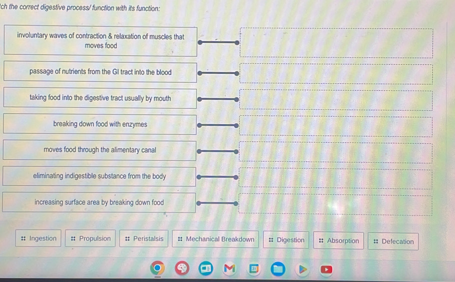 tch the correct digestive process/ function with its function:
involuntary waves of contraction & relaxation of muscles that
moves food
passage of nutrients from the GI tract into the blood
taking food into the digestive tract usually by mouth
breaking down food with enzymes
moves food through the alimentary canal
eliminating indigestible substance from the body
increasing surface area by breaking down food
Ingestion :: Propulsion Peristalsis : Mechanical Breakdown :: Digestion :: Absorption :: Defecation