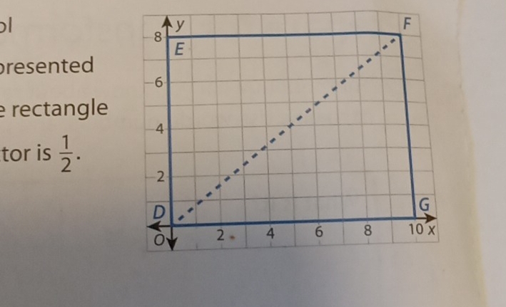 resented 
e rectangle
tor is  1/2 .