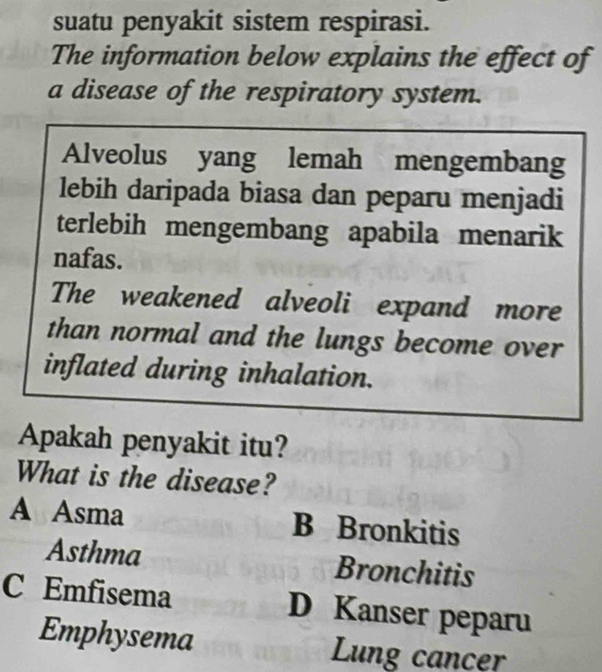 suatu penyakit sistem respirasi.
The information below explains the effect of
a disease of the respiratory system.
Alveolus yang lemah mengembang
lebih daripada biasa dan peparu menjadi
terlebih mengembang apabila menarik
nafas.
The weakened alveoli expand more
than normal and the lungs become over
inflated during inhalation.
Apakah penyakit itu?
What is the disease?
A Asma B Bronkitis
Asthma Bronchitis
C Emfisema D Kanser peparu
Emphysema Lung cancer