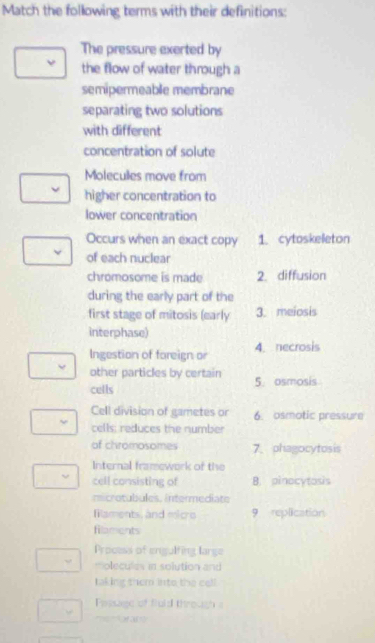 Match the following terms with their definitions:
The pressure exerted by
the flow of water through a
semipermeable membrane
separating two solutions
with different
concentration of solute
Moleculles move from
higher concentration to
lower concentration
Occurs when an exact copy 1.cytoskeleton
of each nuclear
chromosome is made 2. diffusion
during the early part of the
first stage of mitosis (early 3. meiosis
interphase)
Ingestion of foreign or 4. necrosis
other particles by certain
cells 5 osmosis
Cell division of gametes or 6. osmotic pressure
cells: reduces the number
of chromosomes 7、 phagocytosis
Internal framework of the
cell consisting of B. pinocytosis
microtubules, intermediate
Mlaments, and micro 9 replication
filaments
Process of engulfing large
ecul in solution and 
taling them into the cell
Pssage of fuld through 
= r