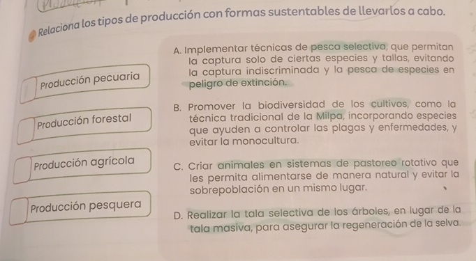 Relaciona los tipos de producción con formas sustentables de llevarlos a cabo.
A. Implementar técnicas de pesca selectiva, que permitan
la captura solo de ciertas especies y tallas, evitando
Producción pecuaria
la captura indiscriminada y la pesca de especies en
peligro de extinción.
B. Promover la biodiversidad de los cultivos, como la
Producción forestal técnica tradicional de la Milpa, incorporando especies
que ayuden a controlar las plagas y enfermedades, y
evitar la monocultura.
Producción agrícola C. Criar animales en sistemas de pastoreo rotativo que
les permita alimentarse de manera natural y evitar la
sobrepoblación en un mismo lugar.
Producción pesquera
D. Realizar la tala selectiva de los árboles, en lugar de la
tala masiva, para asegurar la regeneración de la selva.