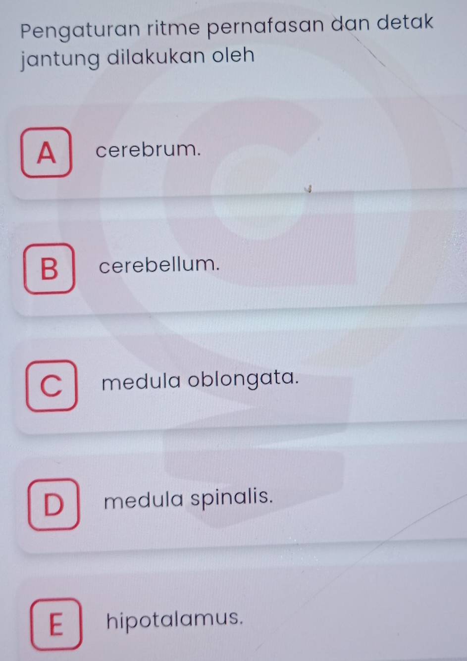 Pengaturan ritme pernafasan dan detak
jantung dilakukan oleh
A cerebrum.
B cerebellum.
C medula oblongata.
D medula spinalis.
E hipotalamus.