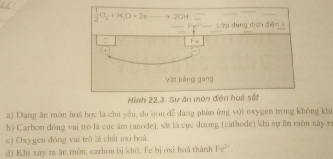 a) Dạng ăn mòn hoá học là chủ yếu, do iron dể dàng phản ứng với oxygen trong không khí
b) Carbon đóng vai trò là cực âm (anode), sắt là cực dương (cathode) khi sự ăn mòn xảy ra
c) Oxygen đóng vai trò là chất oxi hoá.
d) Khí xảy ra ăn mòn, carbon bị khử, Fe bị oxi hoá thành Fe^(2+).