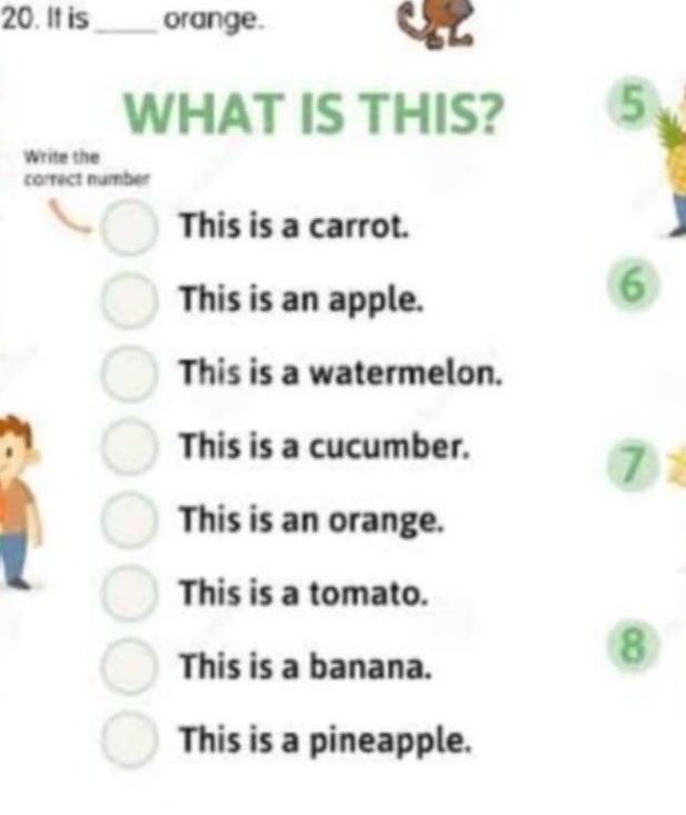 It is _orange.
WHAT IS THIS? 5
Write the
correct number
This is a carrot.
This is an apple.
6
This is a watermelon.
This is a cucumber.
7
This is an orange.
This is a tomato.
This is a banana.
8
This is a pineapple.